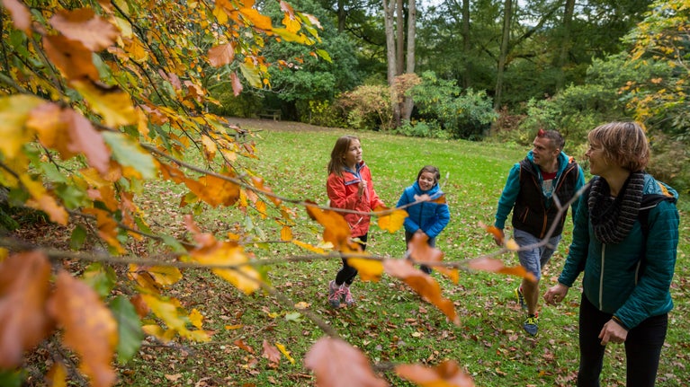 A family enjoying the garden in autumn